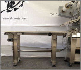 骊速自动化设备 多功能伺服枕式包装机，为宠物食品及日常用品打造高效包装解决方案